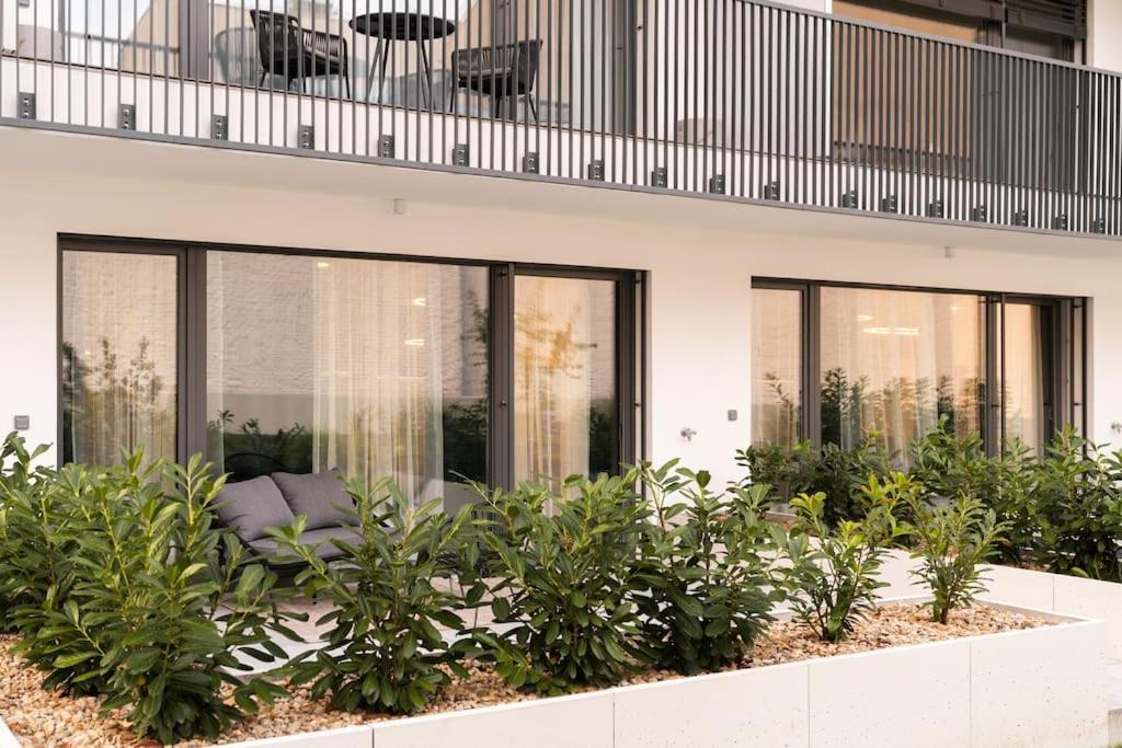 Gold Garden Terrace Apartment 布尔诺 外观 照片